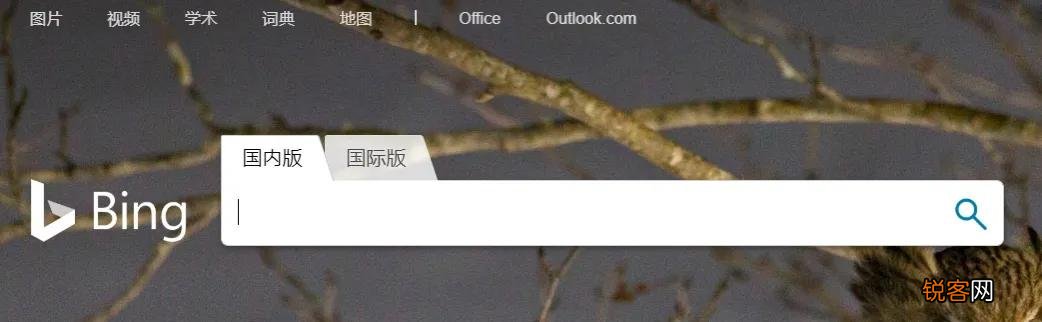 现在的搜索引擎你们经常用的是什么？有没有让你烦的？
