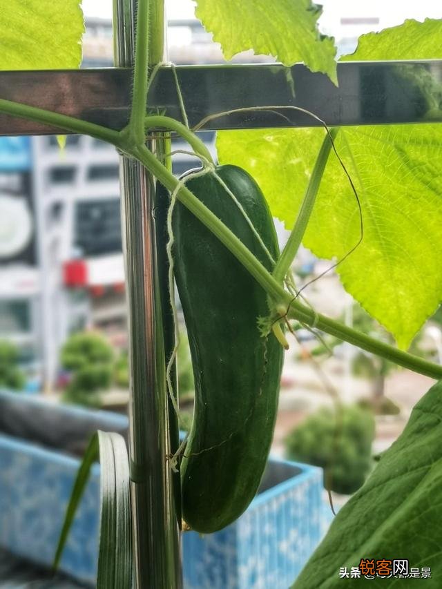 大光圈可以拍出唯美的虚化,但手机摄像头标称的大光圈真的有用吗？