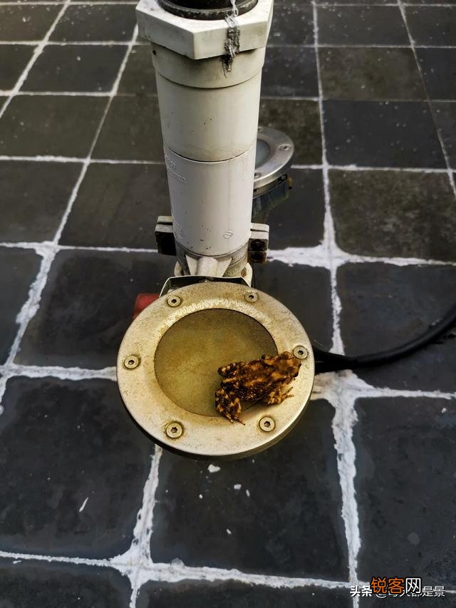 大光圈可以拍出唯美的虚化,但手机摄像头标称的大光圈真的有用吗？