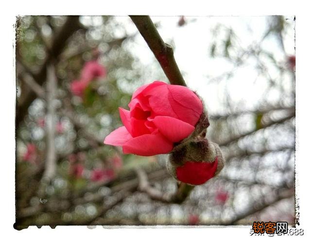 大光圈可以拍出唯美的虚化,但手机摄像头标称的大光圈真的有用吗？