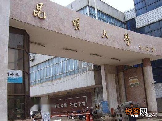 哪位知道除了百度还有别的搜索引擎没,现在的百度点进去全是广告？