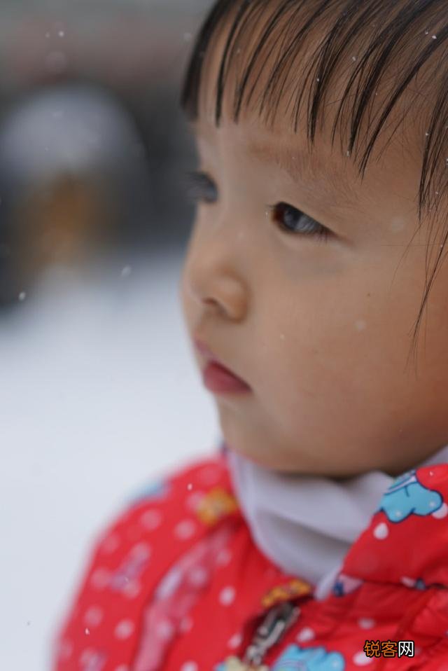 手机摄影中的大光圈特效和单反相机大光圈背景虚化一样吗？