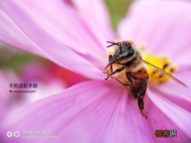 手机摄影中的大光圈特效和单反相机大光圈背景虚化一样吗？