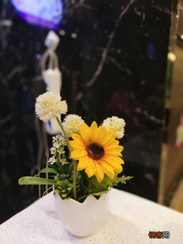 手机摄影中的大光圈特效和单反相机大光圈背景虚化一样吗？