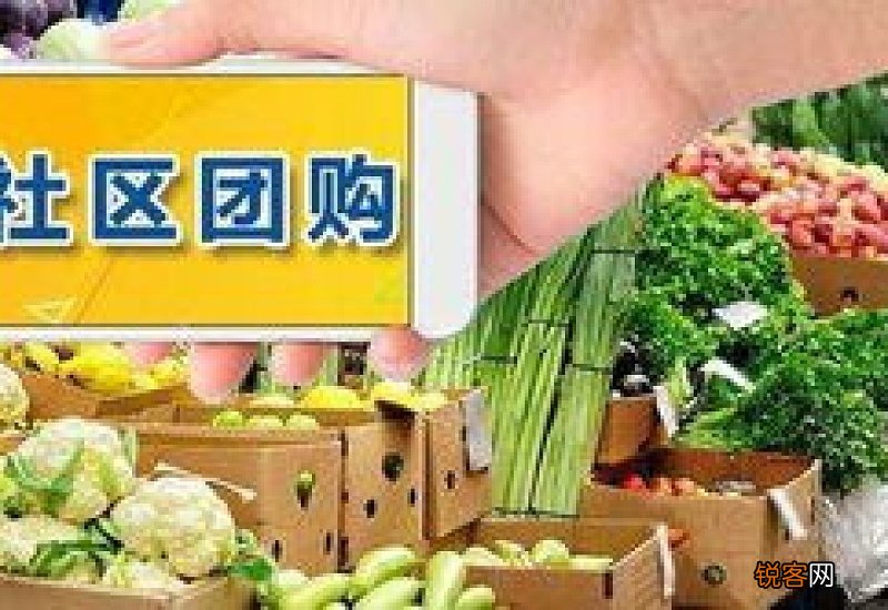 社区团购是不是伪风口