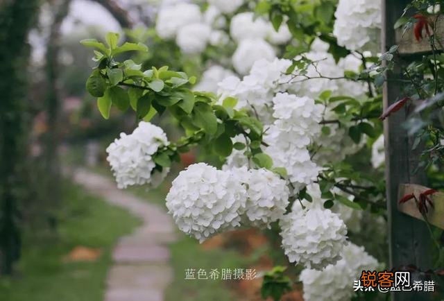 大光圈在什么时候用比较好？