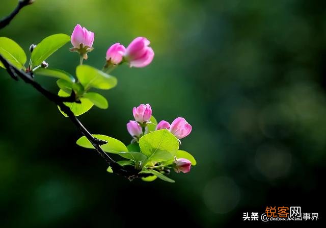 大光圈在什么时候用比较好？