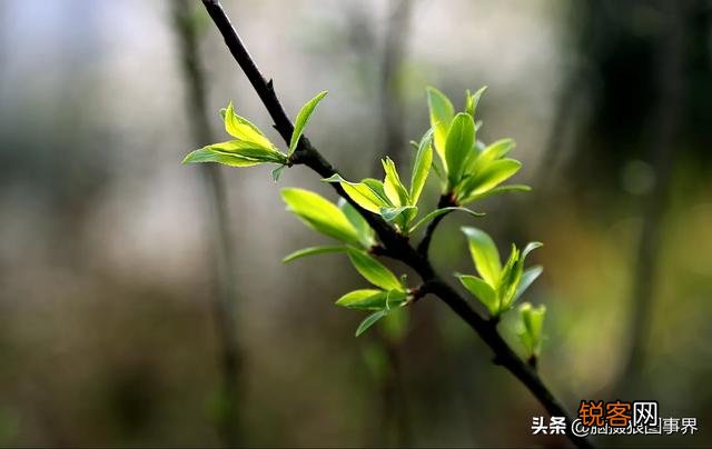大光圈在什么时候用比较好？