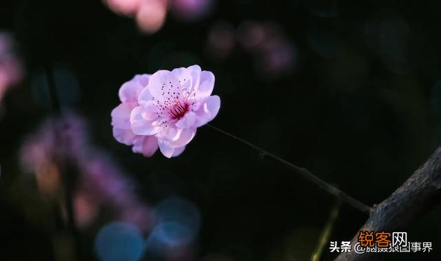大光圈在什么时候用比较好？