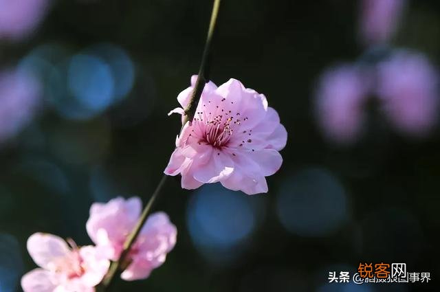 大光圈在什么时候用比较好？