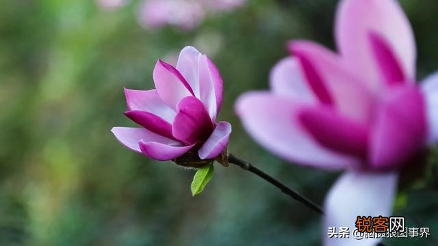 大光圈在什么时候用比较好？