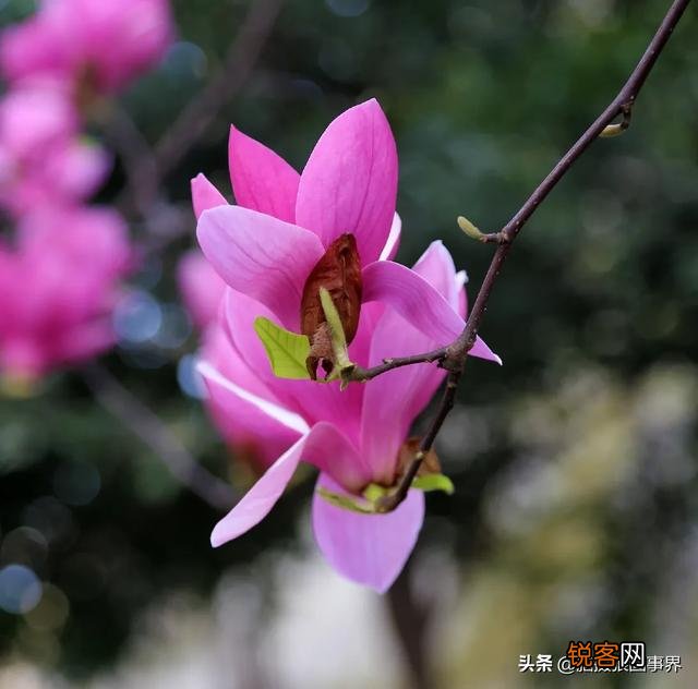 大光圈在什么时候用比较好？