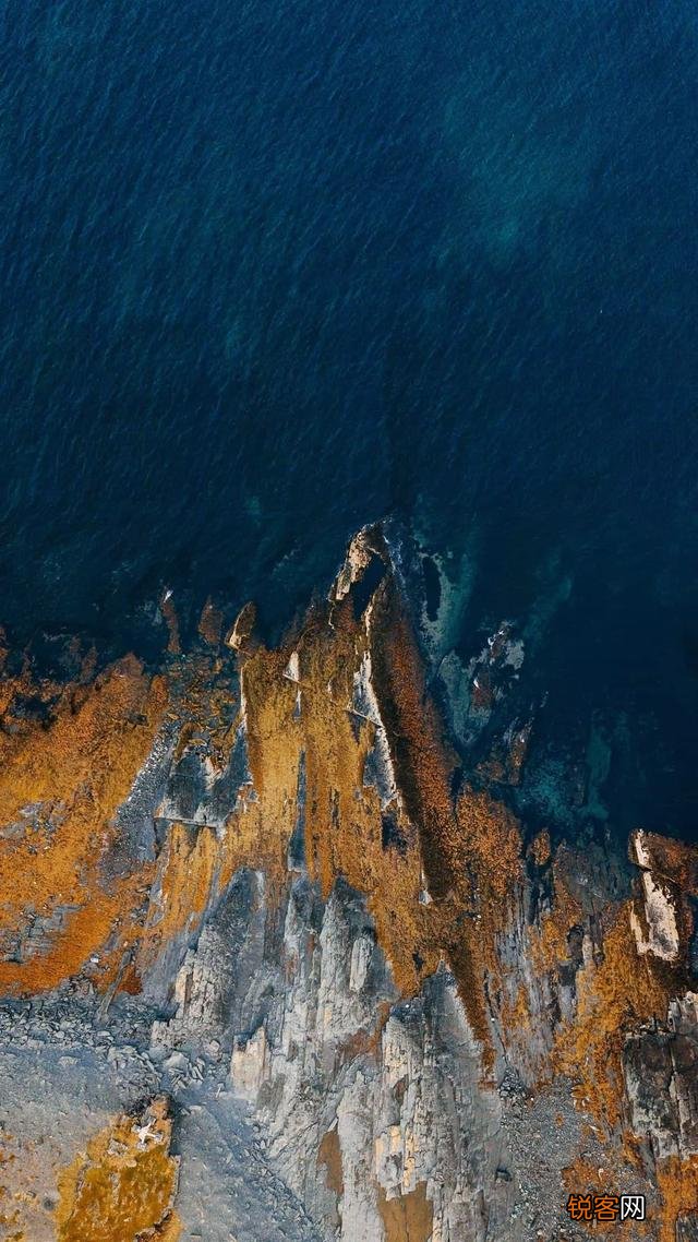 如果让你推荐2022必读十本书,你会推荐什么呢？