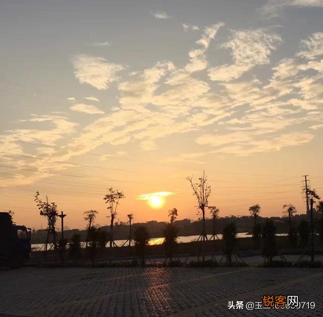 现在还有什么值得看的网文？