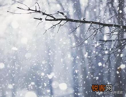 你看过你认为写的最好的小说是什么？