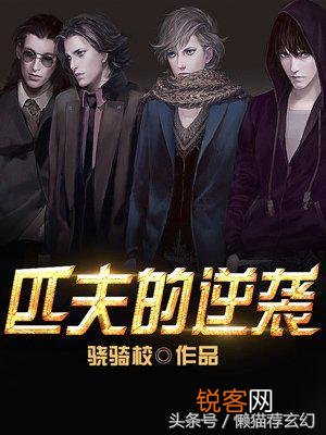 有哪些文笔特别好的网络小说神作？
