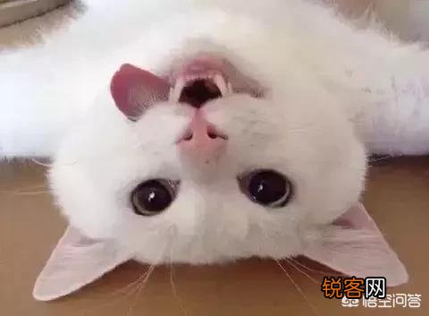 有哪些完本的网络小说值得推荐？