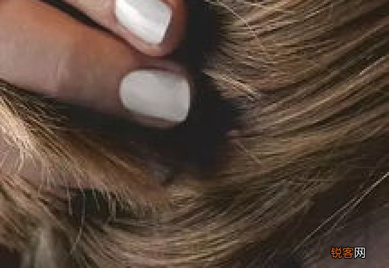 耳洞带茶叶棒好还是戴银棒好