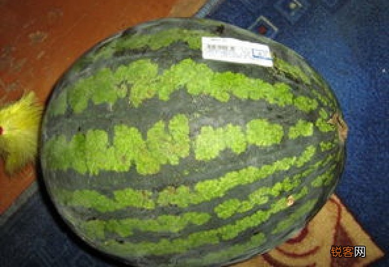 西瓜打开后多久不能吃