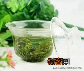 铁观音怎么样？