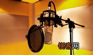 声乐是什么意思啊 声乐担当什么意思