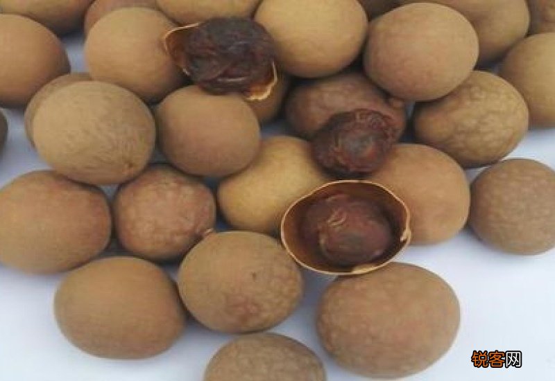 桂圆皮有什么功效 桂圆壳有什么好处