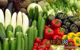 有人知道有哪些靠谱的农产品电商平台吗？