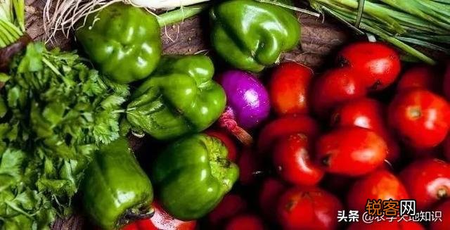 有人知道有哪些靠谱的农产品电商平台吗？