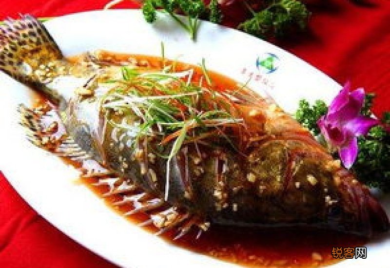 桂鱼不可以和什么一起吃？吃了桂鱼这些食物要避免去吃！