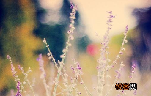 管理者不妨与员工一起游戏中进取