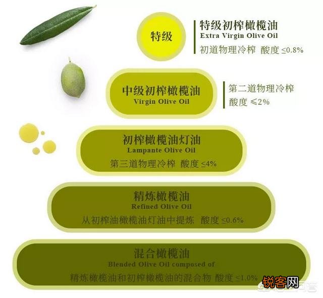 怎么选购橄榄油？