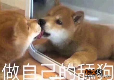 前女友教会我系鞋带,蝴蝶结的系法。请问你们的前女友教会你啥？