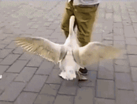 搞笑需要哪些元素？