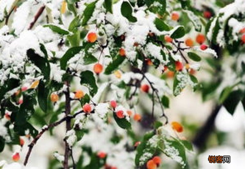 亲人去世冬至第一年要上坟吗