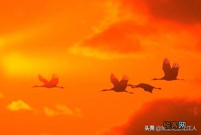 马头琴的琴声悠扬、淳美、深沉、浑厚,马头琴演奏的歌曲有哪些?你觉得哪首最打动你？