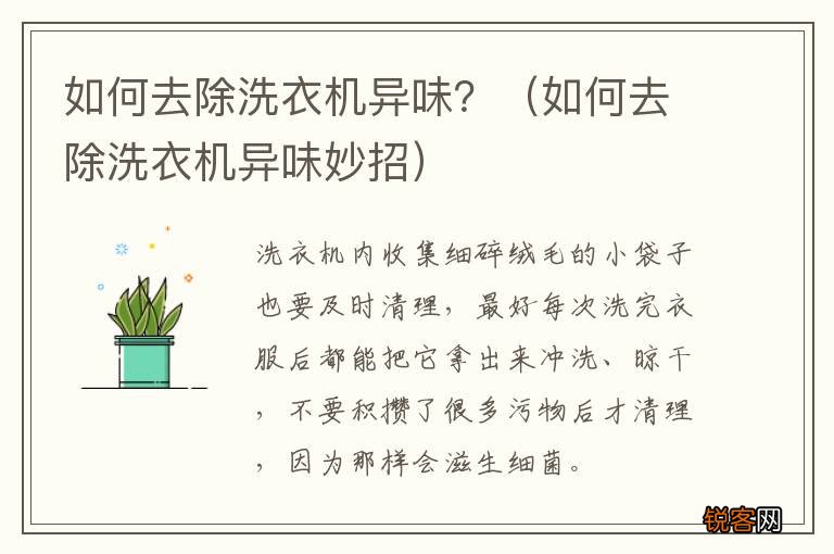 如何去除洗衣机异味妙招 如何去除洗衣机异味？