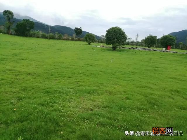 草原歌曲中你喜欢哪首？