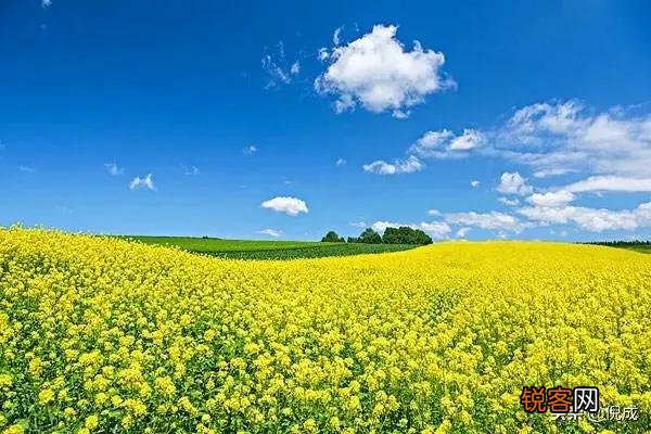 草原歌曲中你喜欢哪首？