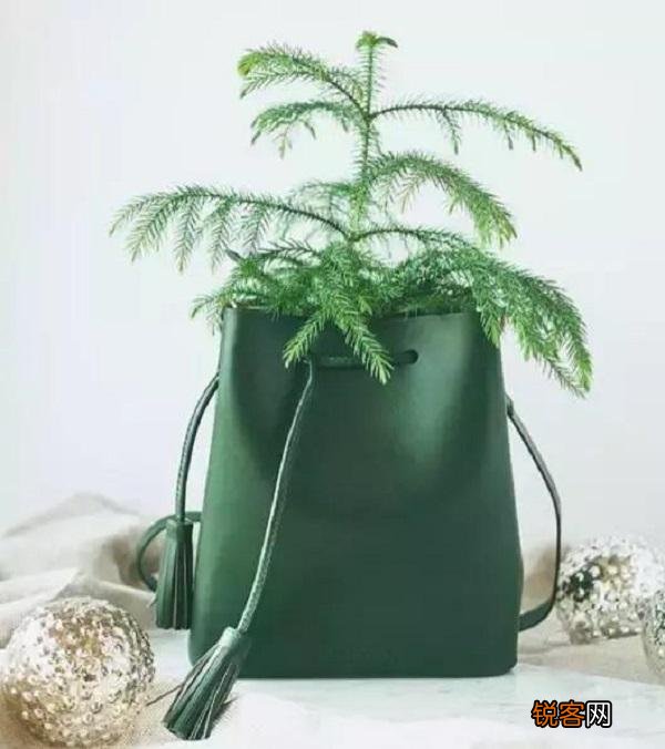 有哪些小众但是很有气质的轻奢女包品牌推荐？