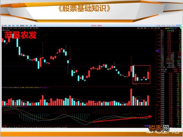 抄底的K线信号有哪些？