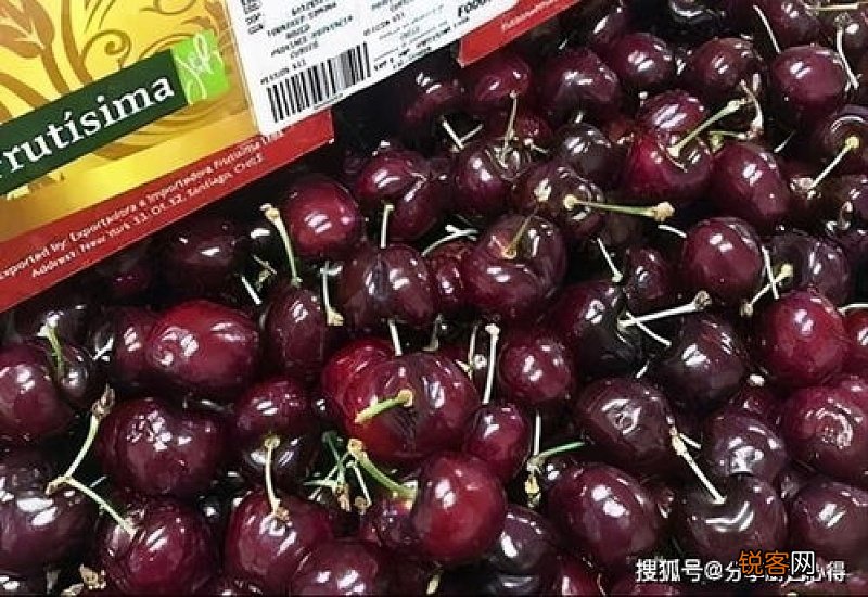 车厘子表面有白点正常吗