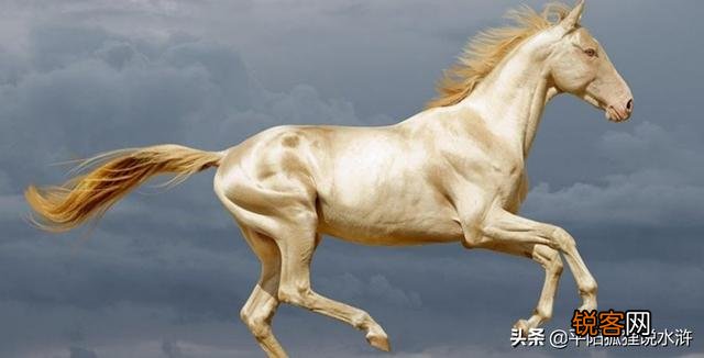 关羽的汗血宝马到底是有多么珍贵？