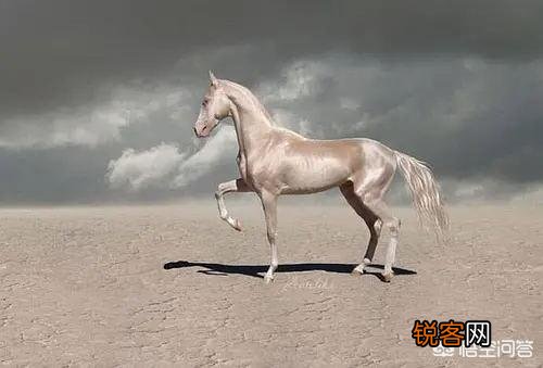 古代一匹汗血宝马多少钱？