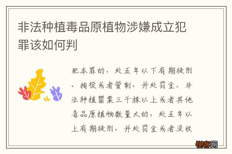非法种植毒品原植物涉嫌成立犯罪该如何判