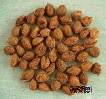 卤水中常用的香辛料有多少种？