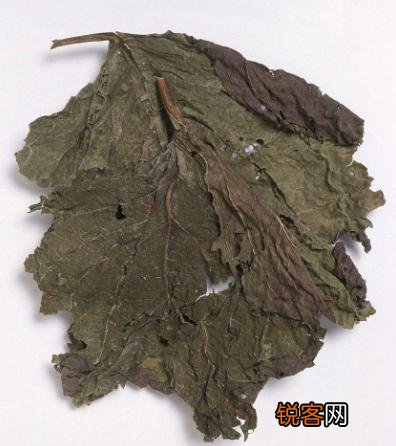 卤水中常用的香辛料有多少种？