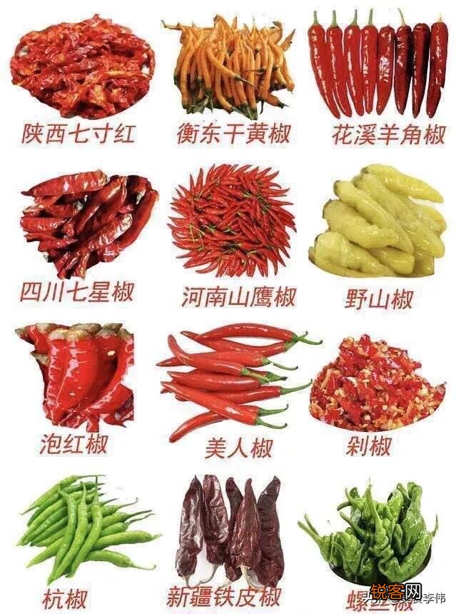 卤水中常用的香辛料有多少种？