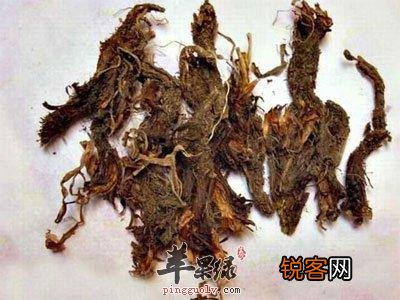 卤水中常用的香辛料有多少种？