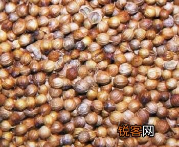 卤水中常用的香辛料有多少种？