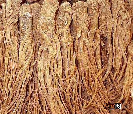 入口香的香料有什么？